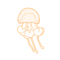 Animals Jellyfish White Spotted Jellyfish Outline Icon Svg Set, Free Vectors File